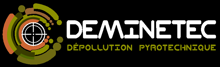 DEMINETEC_logo_footer